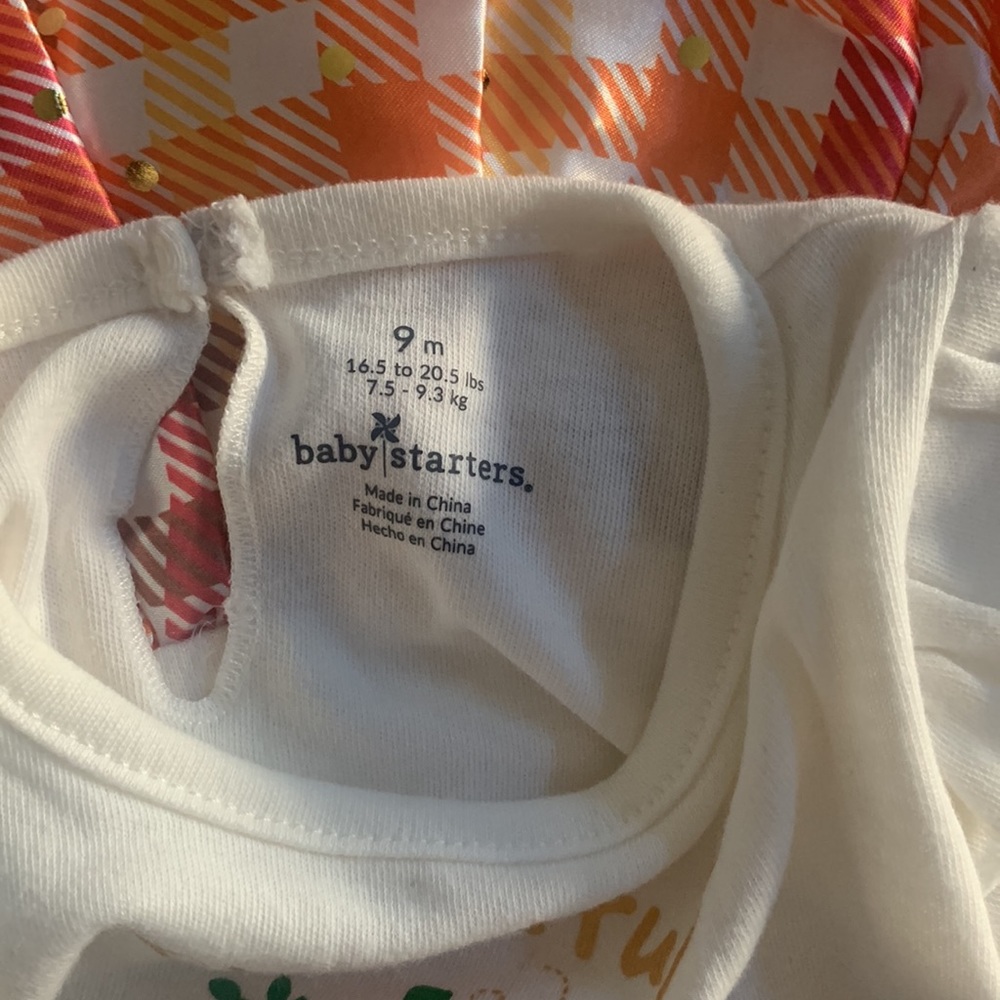 Baby Starters - Rashti & Rashti - Thanksgiving Dress with attached onesie - 9 M - Picture 5 of 16